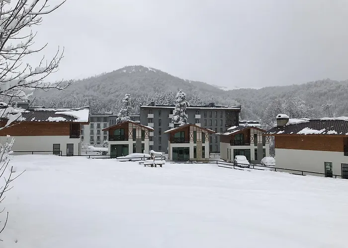 Cottage In Bakuriani