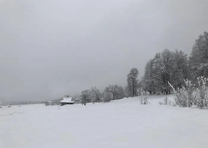 Cottage In Bakuriani